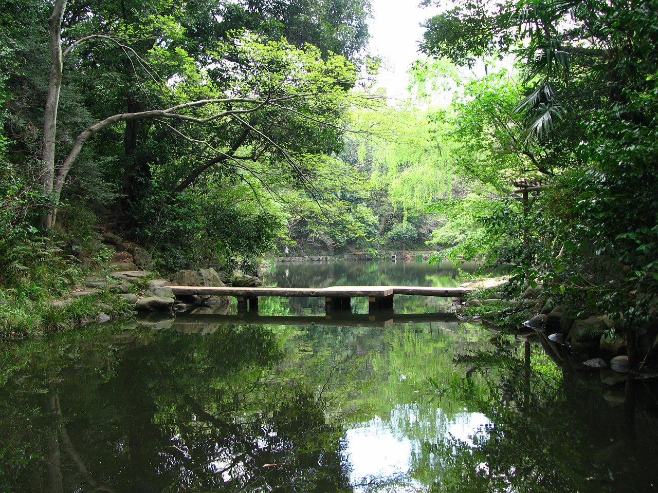 bridge to our hideaway.JPG